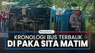 Kronologi Bus Gunung Mas Terbalik di Paka Sita Manggarai Timur
