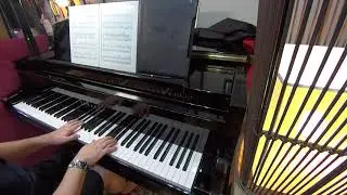 Forest composed by Yuhki Kuramoto(倉本裕基)