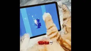 Brawl Stars 