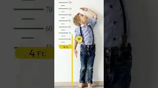 AR Measure Plan: 3D Tape Ruler