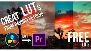 How to create LUTs in DAVINCI RESOLVE and use it in PREMIER PRO for just 10 min or LESS !!!