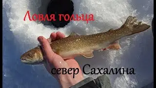 Ловля гольца. Север Сахалина.