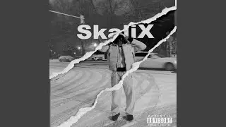 SkaliX