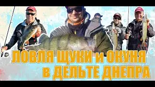 ЛОВЛЯ ЩУКИ НА ДЕЛЬТЕ ДНЕПРА