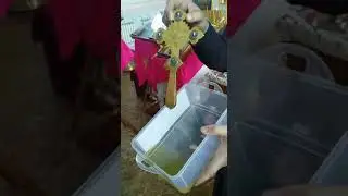 В храме под Липецком начали мироточить кресты и иконы