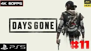 DAYS GONE - Жизнь после [4k 60fps HDR] (PS5) #11 - Дедушка Байкер и его жизнь после