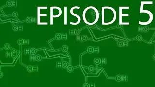 Episode 5 - Carbohydrates