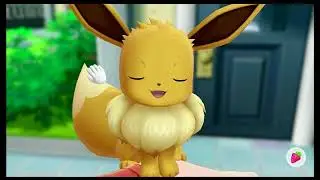85% the reason why I got Let's Go Eevee