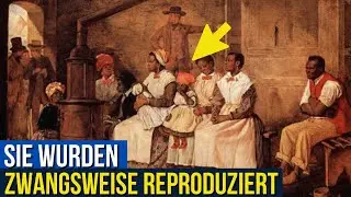Sklavenzuchtbetriebe: Was man Ihnen nie gesagt hat
