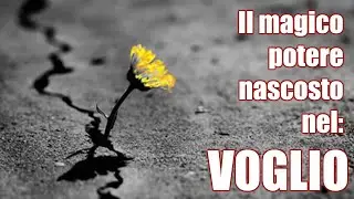 Il magico potere nascosto nel: Voglio