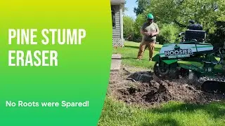 Carlton 5014 Stump Grinder in Action: Pine Stump Removal in Valparaiso, IN | Hoosier Stump Remover