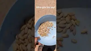 Doğal altın!