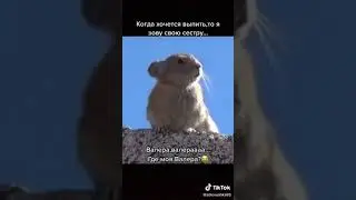 где моя Валера в бане паритца