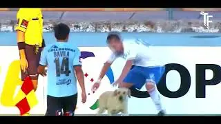 САМЫЕ СМЕШНЫЕ ПРИКОЛЫ В ФУТБОЛЕ