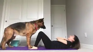 Exercise with Rambo the German Shepherd. Episode 1.