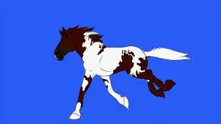Running horse green screen/animation running horse on green screen footage