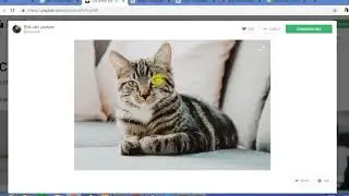 Pytorch Bootcamp   38 What Are Images