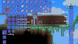 Biggest Terraria Fail ever.