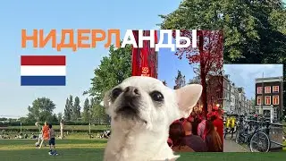 нидерланды | ДР, улица красных фонарей и окрошка :)