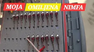 Nimfarenje prije kiše. Konačno sam Vam snimio moćnog fazana!