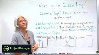 What is an Issue Log?