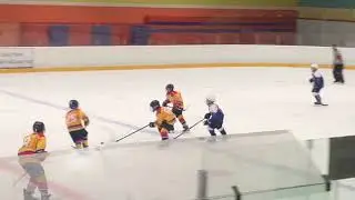 Кап2009 Химик 