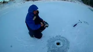 Енисей рыба есть но не клюет Прогулка по берегу