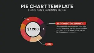 [LaurentiuDorin] Infographics Builder for Final Cut Pro X| Video Hive | After Effect Temples| Envato