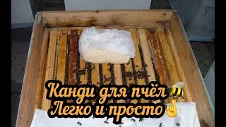 Канди для пчёл. Как это делаю я.  Подкормка пчёл 🍯
