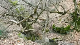Коп по Крымским балкам в феврале и всё же есть серебро!
