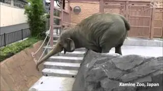 У него получилось