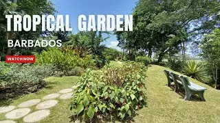 Tropical Garden, Barbados