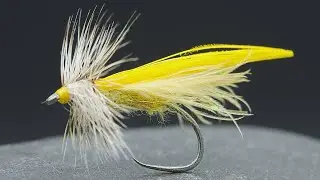 MUST HAVE DRY Fly!