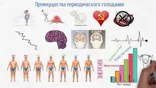 ПЕРИОДИЧЕСКОЕ ГОЛОДАНИЕ! Шокирующая правда!