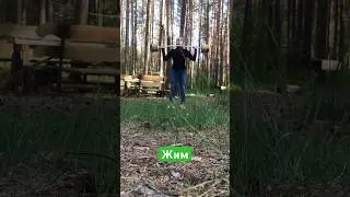 Жим в лесу