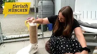 Wir treffen die Tierschützerinnen und Tierschützer des Tierschutzvereins Schlupfwinkel und begleit
