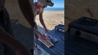 Fresh fish in Baja! #shorts  #bajacalifornia #bajafishing