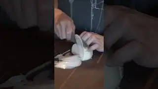 Who needs a mandolin when you have a nice knife? Using the Design Series G2 Petty. #asmr #cooking