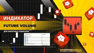 Индикатор для бинарных опционов Future Volume