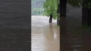 ПАВОДОК #hunting #viral#flood#nature#river