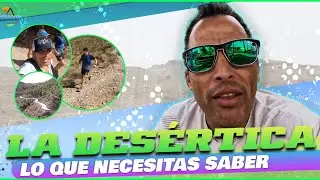 Lo que necesitas saber para la Desértica