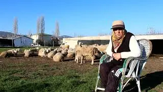 SONNUR ANA ÇİFTLİĞİ 2023 İLK VİDEO I ''HEM HAKKA HEM HALKA HİZMET ÇOBANLIK''
