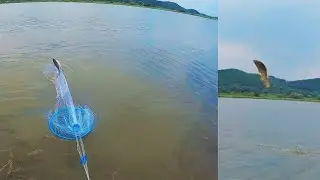 Кастинговая сеть с кольцом. УБИЙЦА ВСЕЙ РЫБЫ