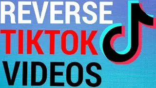 How To Reverse Videos on TikTok