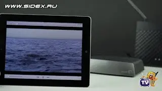 Sidex.ru: Seagate Central