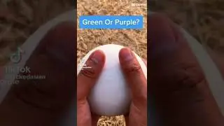 Green or purple