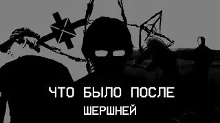 ЧТО БЫЛО ПОСЛЕ МРАМОРНЫХ ШЕРШНЕЙ? | СТАРЫЙ ИНТЕРНЕТ