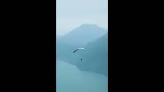 Pink Floyd - High Hopes. music. shorts.