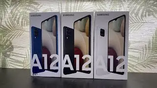 Samsung Galaxy A12 Unboxing and Color Comparison Black Blue and White