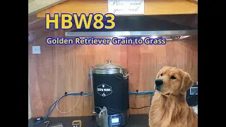 HBW83 - Golden Retriever Grain To Glass